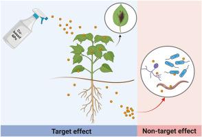 Copper nanoparticles as a potential emerging pollutant: Divergent effects in the agriculture, risk-benefit balance and integrated strategies for its use