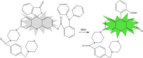 A rhodamine-based fluorescent probe used to determine nitroxyl (HNO) in lysosomes