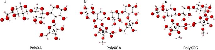 First principles modelling of the ion binding capacity of finger millet