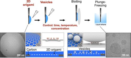 Free-Standing DNA Origami Superlattice to Facilitate Cryo-EM Visualization of Membrane Vesicles