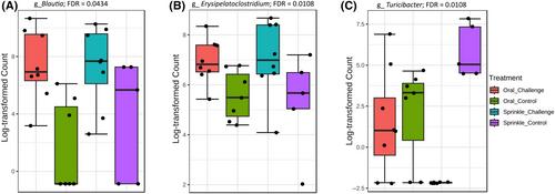 Dust sprinkling as an effective method for infecting layer chickens with wild-type Salmonella Typhimurium and changes in host gut microbiota