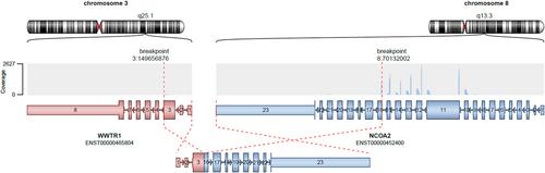 Uncovering the WWTR1::NCOA2 Gene fusion in low-grade myoepithelial-rich neoplasm with HMGA2 expression: A case report