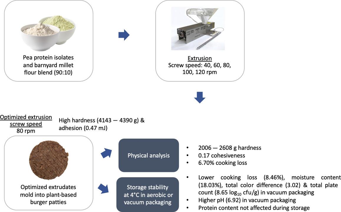 Development of plant-based burger patties with pea protein isolate and barnyard millet flour and its storage stability in aerobic and vacuum packaging