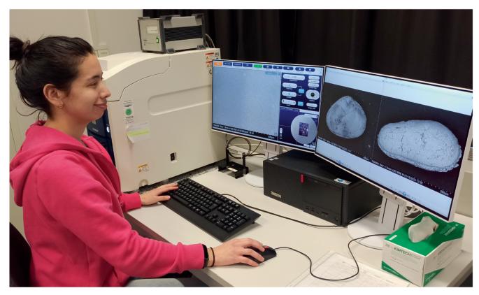 Reconstructing end-Permian mass extinction conditions using the ostracod record