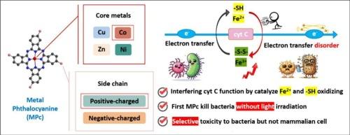 Metallophthalocyanine as ideal antibiotics without light: Mechanisms and applications