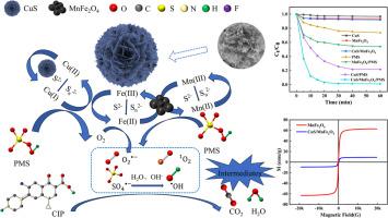 Degradation of ciprofloxacin by magnetic CuS/MnFe2O4 catalysts efficiently activated peroxymonosulfate