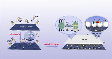 Enhancing ionic conductivity and controlling lithium dendrite growth via ferroelectric ceramic Bi4Ti3O12