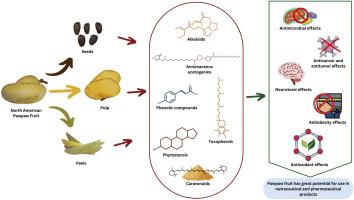 North American pawpaw (Asimina triloba L.) fruit: A critical review of bioactive compounds and their bioactivities