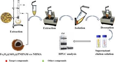 Functionalized magnetic nanomaterials as recyclable adsorbents for efficient flavonoid enrichment in Scutellaria Radix