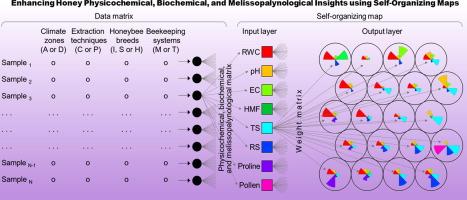 Revolutionizing food quality assessment: Unleashing the potential of artificial intelligence for enhancing honey physicochemical, biochemical, and melissopalynological insights