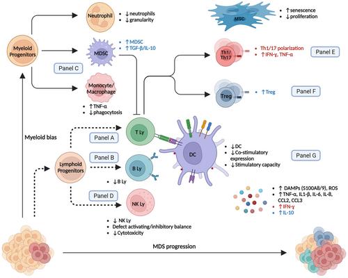 Immune-monitoring of myelodysplastic neoplasms: Recommendations from the i4MDS consortium