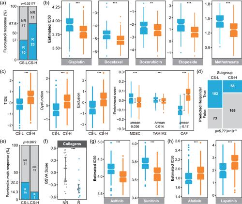 Identification of collagen subtypes of gastric cancer for distinguishing patient prognosis and therapeutic response