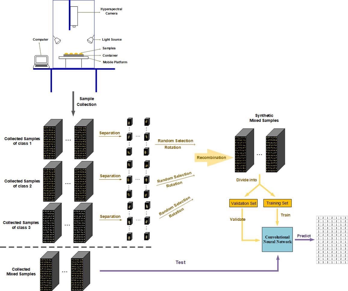 Fast and simultaneous detection of wheat kernel adulteration using hyperspectral imaging technology and deep convolutional neural network