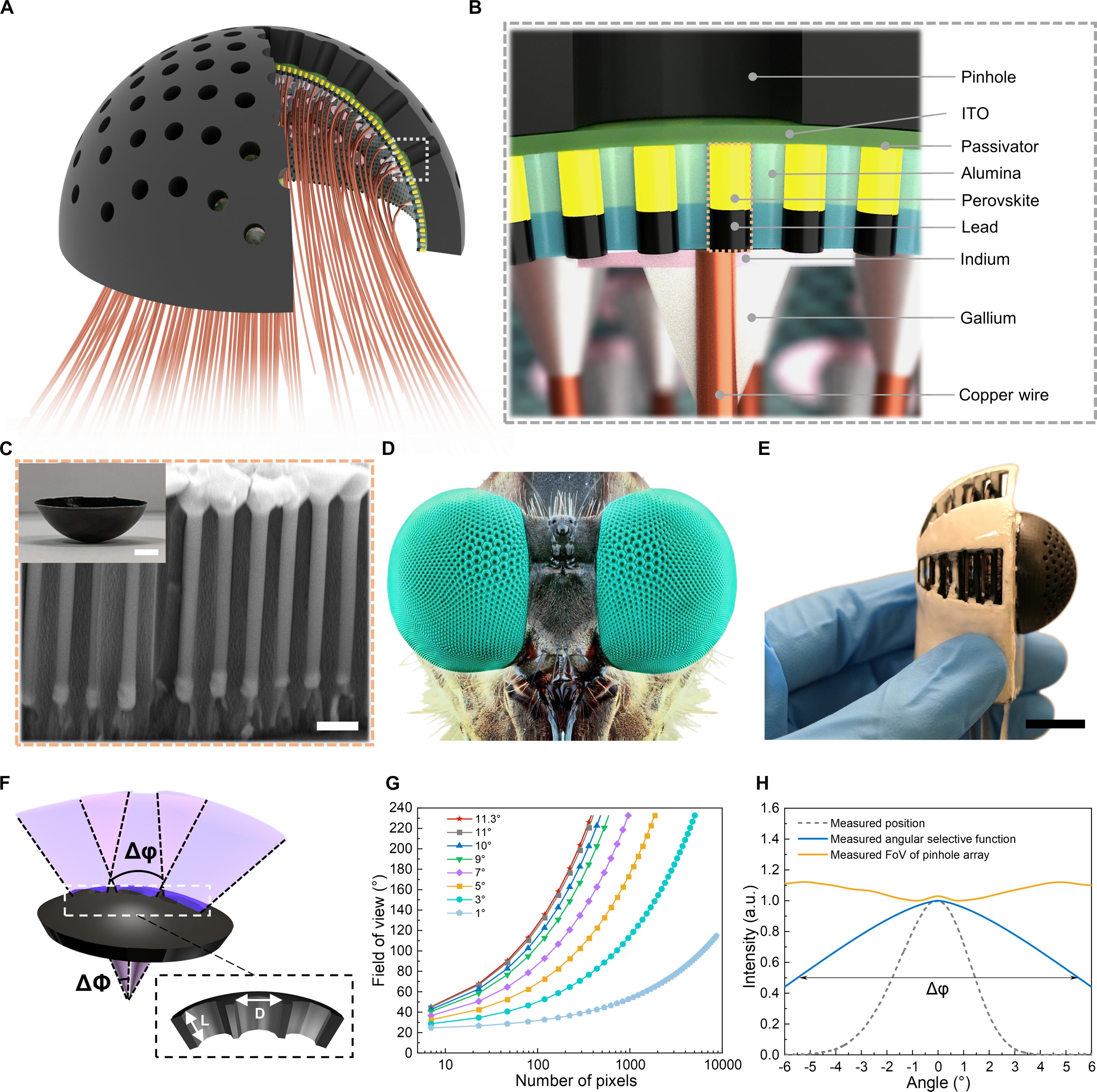 An ultrawide field-of-view pinhole compound eye using hemispherical nanowire array for robot vision