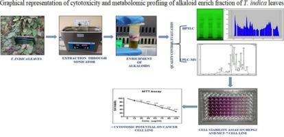 Cytotoxic potential and metabolomic profiling of alkaloid rich fraction of Tylophora indica leaves