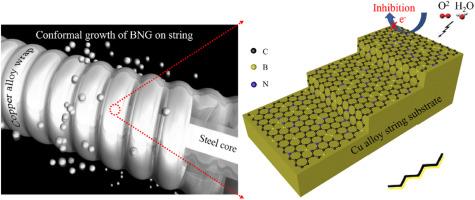 Conformal growth of B/N modified graphene on metal strings by chemical vapor deposition for robust protection