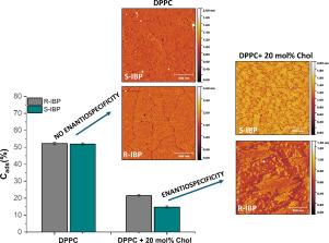 Cholesterol drives enantiospecific effects of ibuprofen in biomimetic membranes