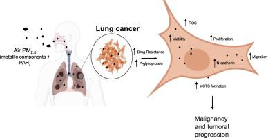 Fine particulate matter (PM2.5) promotes chemoresistance and aggressive phenotype of A549 lung cancer cells