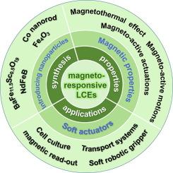 Magneto-responsive liquid crystalline elastomer nanocomposites