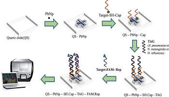 A novel biosensing strategy for identification of three important bacteria causing meningitis