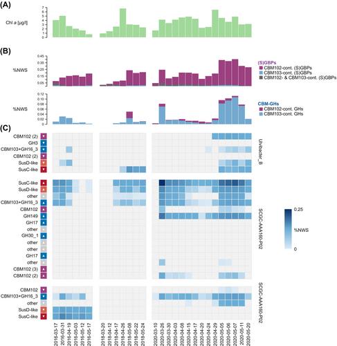 Unveiling the role of novel carbohydrate-binding modules in laminarin interaction of multimodular proteins from marine Bacteroidota during phytoplankton blooms