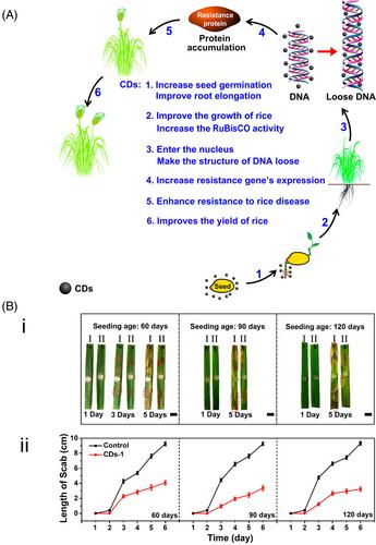 A carbon dot toolbox for managing biotic and abiotic stresses in crop production systems