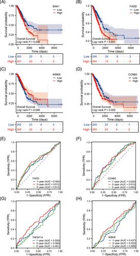 Identification and analysis of prognostic immune cell homeostasis characteristics in lung adenocarcinoma