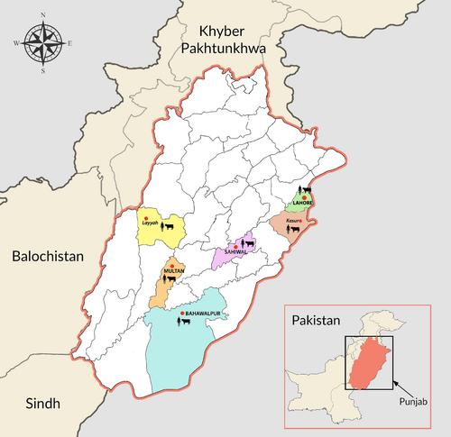 Avian Influenza Virus (H5N1) Was Not Detected Among Dairy Cattle and Farm Workers in Pakistan