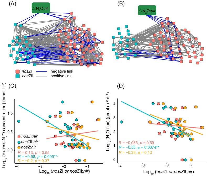 Biogeography and impact of nitrous oxide reducers in rivers across a broad environmental gradient on emission rates