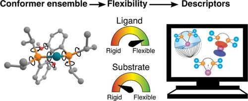 Impact of Model Selection and Conformational Effects on the Descriptors for In Silico Screening Campaigns: A Case Study of Rh-Catalyzed Acrylate Hydrogenation