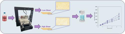 Low-cost automated flat-sheet membrane casting: An open-source, advanced manufacturing approach