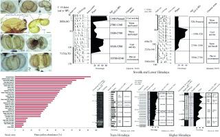 Implications of Pinus L. pollen abundance for reconstructing the Holocene palaeoclimate from the Himalayas, India