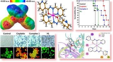 Zinc(II) coordination compound with N′-(pyridin-2-ylmethylene)nicotinohydrazide: Synthesis, crystal structure, computational and cytotoxicity studies