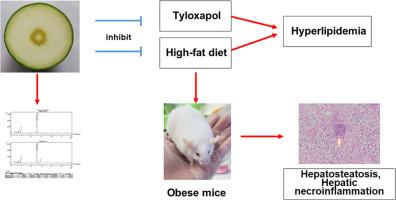 The protective effects of young pomelo fruits extract against acute hyperlipidemia and high-fat diet-induced obese mice