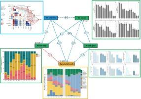 Dam construction accelerated the development of biological soil crusts in degraded soil patches in the Lhasa River basin, Qinghai-Tibetan Plateau