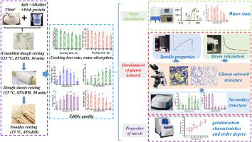 Demarcating quality improvement mechanisms in fresh yellow alkaline noodles: Insights into water-solid interaction, gluten network development, and starch properties during noodles resting