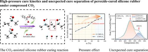 High-pressure cure kinetics and unexpected cure separation of peroxide-cured silicone rubber under compressed CO2