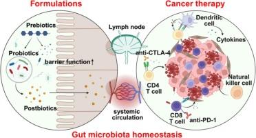 Novel strategies for modulating the gut microbiome for cancer therapy