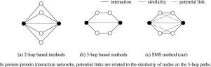 Link prediction in protein–protein interaction network: A similarity multiplied similarity algorithm with paths of length three