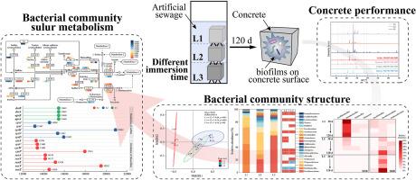 Effect of immersion time on bacterial community structure and sulfur metabolism in biofilm on concrete surface in sewer environment