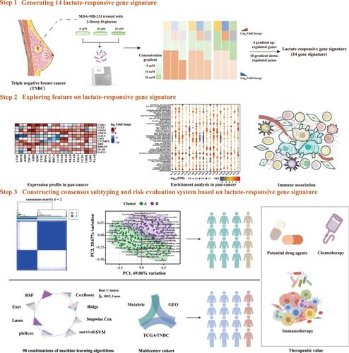 A lactate-responsive gene signature predicts the prognosis and immunotherapeutic response of patients with triple-negative breast cancer