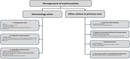 Erythrocytosis: Diagnosis and investigation