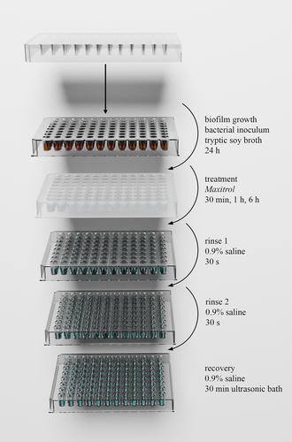 Maxitrol as an antibiofilm agent with potential applications in Otolaryngology-Head and Neck Surgery