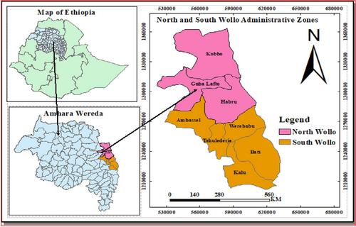 Local sorghum (Sorghum bicolor (L.) Moench) on-farm genetic diversity status and possible determinants from Wollo lowland areas, northeastern Ethiopia