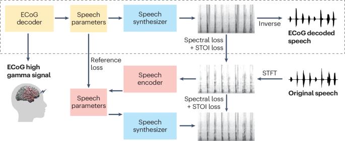 An electrocorticography-based speech decoder for neural speech prostheses