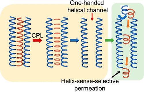 Helix-Sense-Selective Permeation of Racemic Helical Oligoacetylenes through One-Handed Helical Channels in Polymer Membranes