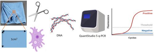 Reliable and specific detection of Acanthamoeba spp. In dishcloths using quantitative real-time PCR assay