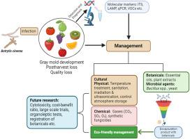 Botrytis fruit rot management: What have we achieved so far?