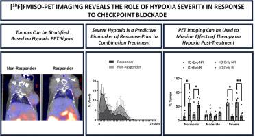 [18F]FMISO-PET imaging reveals the role of hypoxia severity in checkpoint blockade response