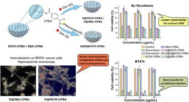 Role of mesoporous silica functionalized with boronic acid derivative in targeted delivery of doxorubicin and co-delivery of doxorubicin and resveratrol